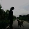 pontipcha_story