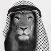 mahmoud8821