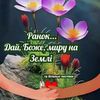 user5656609019007