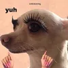 🧋