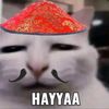 yaudhpan