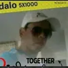 saidnadif
