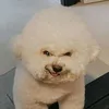 cloudseby