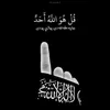 mohammedtariq469