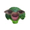 nnaad68