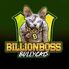 bossbullycatsuk