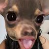 its_alexa379