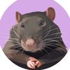 pingutherat