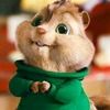amit_3875