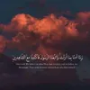aceralmansour