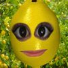 flokoloko