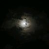 sibro_223
