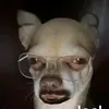 _heisenberg100