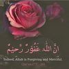 amjid.hameed52