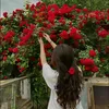 realmadred254