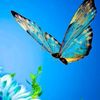 noramohameed5