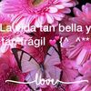 angieayala1414