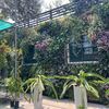 jardineriaperuonline