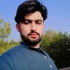 qamarsohailarain