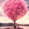 animgr5