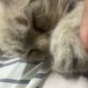 sergeynagorny11
