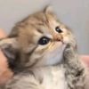 marioma_29