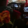 redrosa29