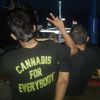 pesawatlokal