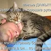 panik22rus
