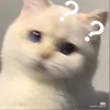 oo_.zy0