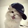 mummimew
