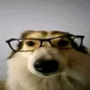 ryuopenmindeu