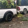 chileno215