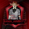 hama_ff01