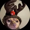 vitor_santos10
