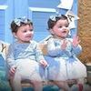 aminmdjahed1234gmail.com