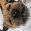 0llie.milton