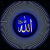 shaheen2938