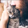 miqdad54
