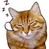 wooooowzers