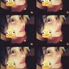 ryucha12