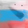 vizir_and_toxic