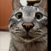 putraaa_437