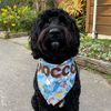 roccowoofwoof