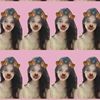 sagigurlls.8