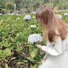 thanh00890