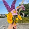 naaru_lamgd