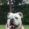 juancontreras85325