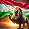 babazoda501