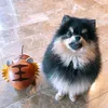 quynh130908